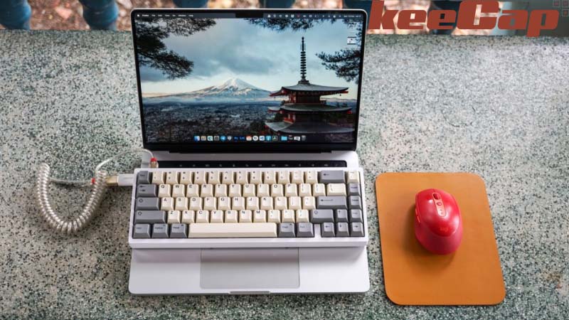 Những tiêu chí quan trọng khi chọn mua bàn phím cơ cho MacBook
